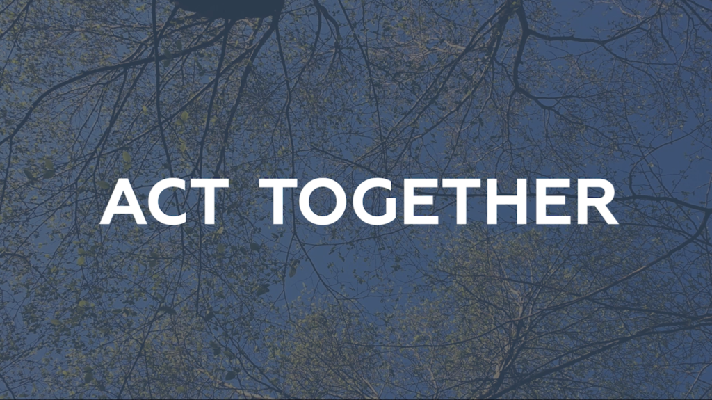 Circular Economy. Collaboration and transparency in ACT TOGETHER project