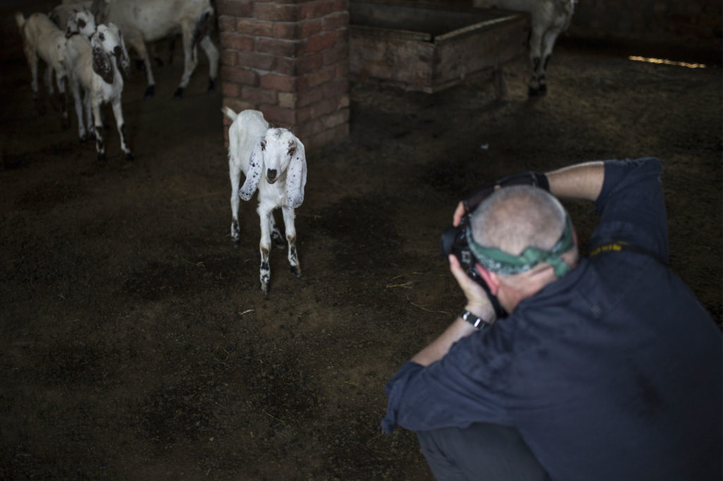 Diego Meneghetti durante il servizio fotografico per Crescent Bahuman Limited