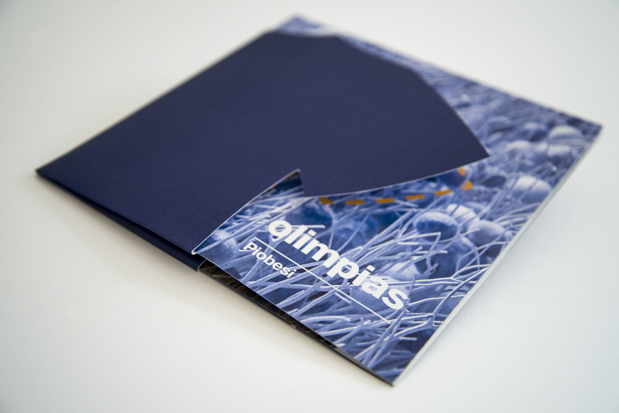 Filati e tessuti sostenibili progettati da Meidea per Piobesi Olimpias