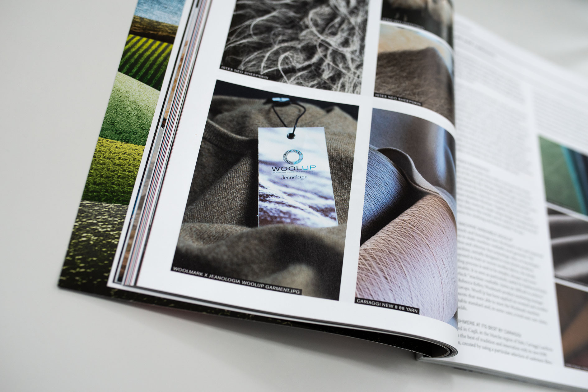 WoolUp Logo e concept sviluppati per Jeanologia: lavaggio lana senza acqua e cloro